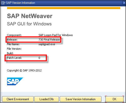 SAP Version Information_1